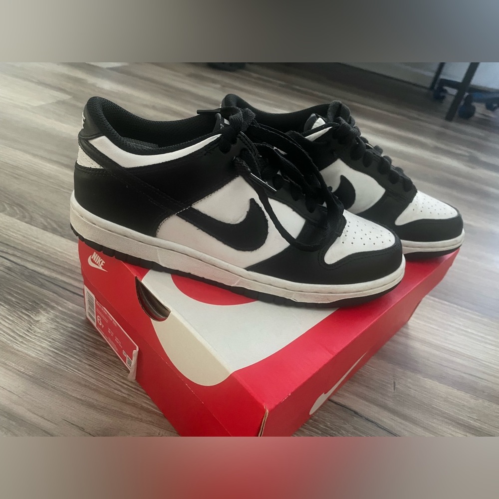 Nike Panda shoes